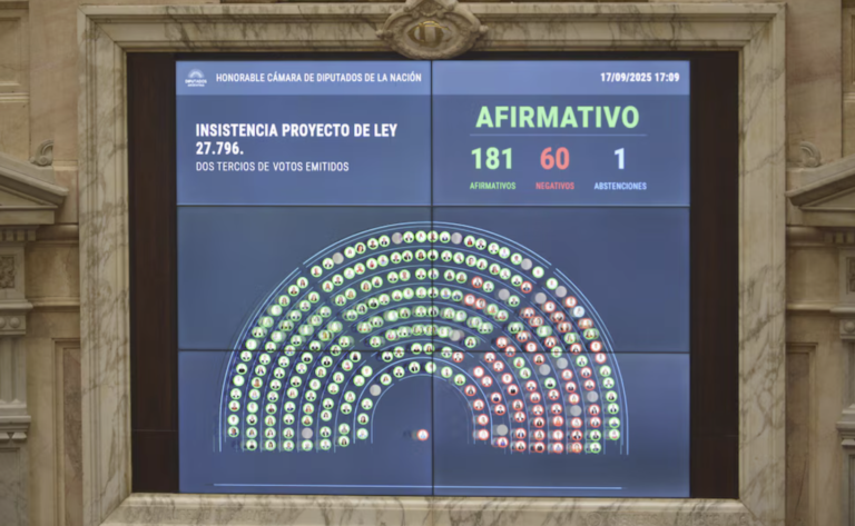 Diputados rechazó los vetos al financiamiento del Garrahan y universidades
